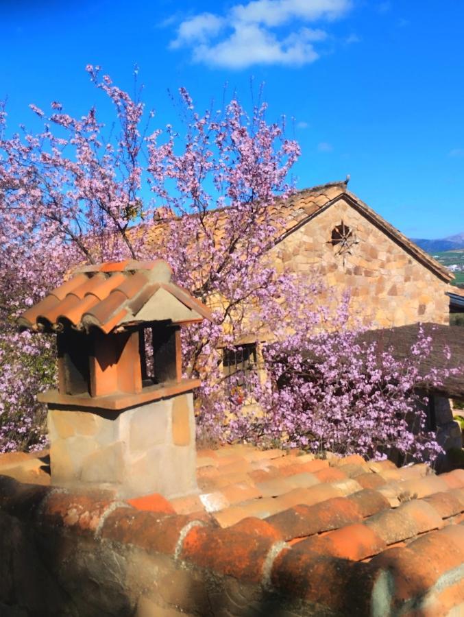 La Casita De Piedra Guest House Ronda Bagian luar foto